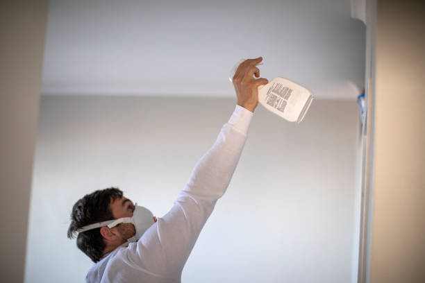 Best Commercial Mold Removal  in San Benito, TX